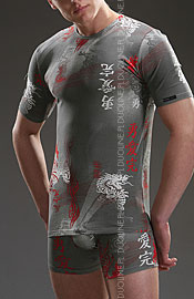 Koszulka Cornette Regent Prime 3415